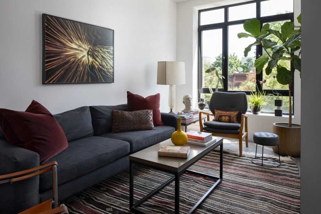 Design Ideas Narrow Living Room